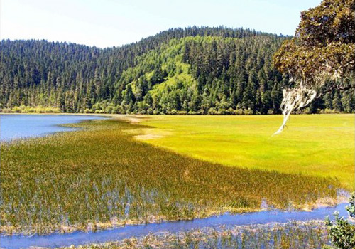 Bitahai Nature Reserve was established to protect the rare wildlife and plant life in the region.