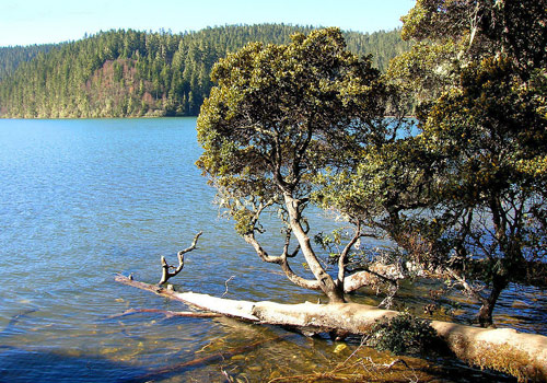 Known as the pearl of Yunnan,Bitahai is the highest lake in the province.