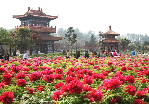 China National Flower Park in Luoyang Old Town District of Luoyang in Henan Province