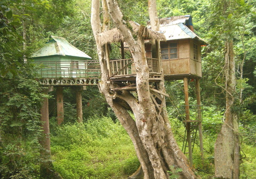 Tree houses can be seen in the tropical forest of Wild Elephant Valley,in Xishuangbanna.