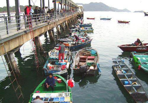 A lot of fishing boats float on the sea at Sai Kung Pier in Sai Kung Peninsula,Hong Kong. 