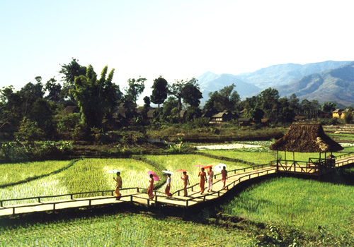 Countryside scenery along the Daluo River
