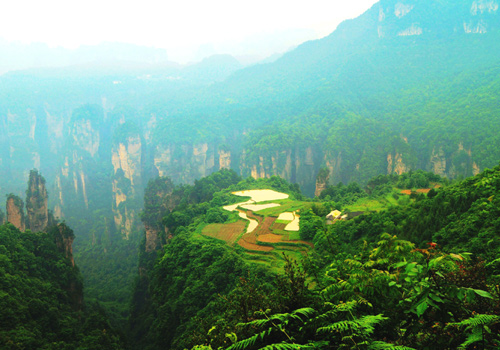 Fields in the Air of Tianzi Mountain in Wulinyuan Scenic Area,Zhangjiajie City,Hunan Province