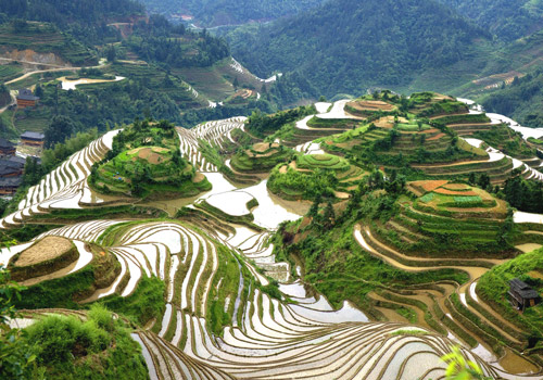 Dragon's Backbone Rice Terraces in Longsheng County is the great feats of Zhuang people.