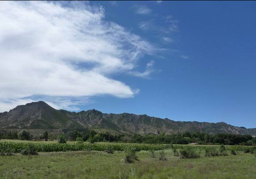 Hohhot, in Mongolian language, means the green city. 