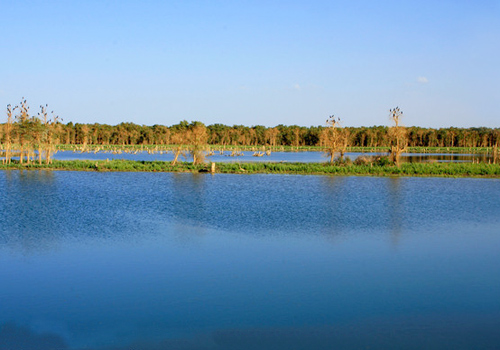 The beautiful Tarim River of Aksu,Xinjiang