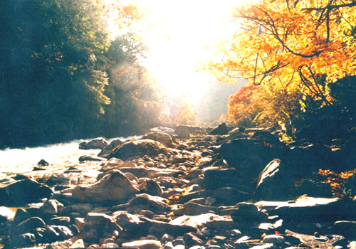 Wolong Special Administrative Region set up in March, 1983 is affiliated to People’s Government of Sichuan province.