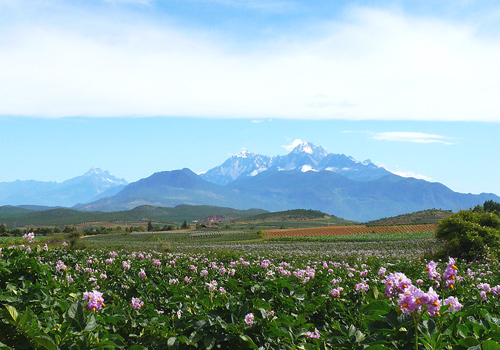 Jade Dragon Snow Mountain is a must-see attraction in Lijiang.