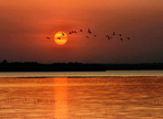 Weishan Lake