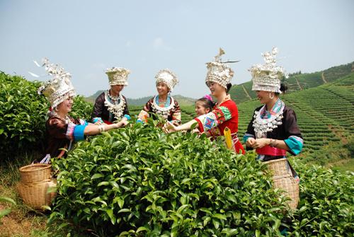 Sanjiang Transportation