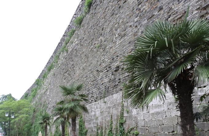 Nanjing City Wall is the largest well preserved ancient city wall in the world.