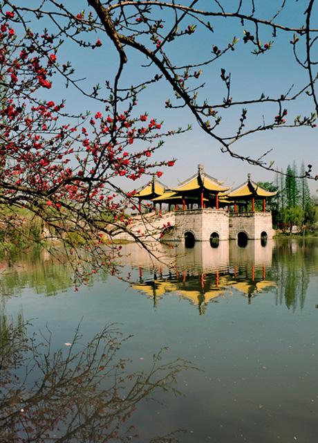 age of wushu penglai island guide age of wushu penglai island guide