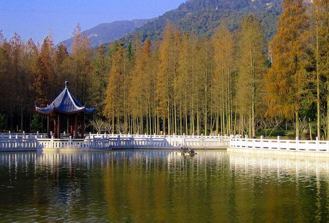Fuzhou National Forest Park is renowned as a natural oxygen bar.