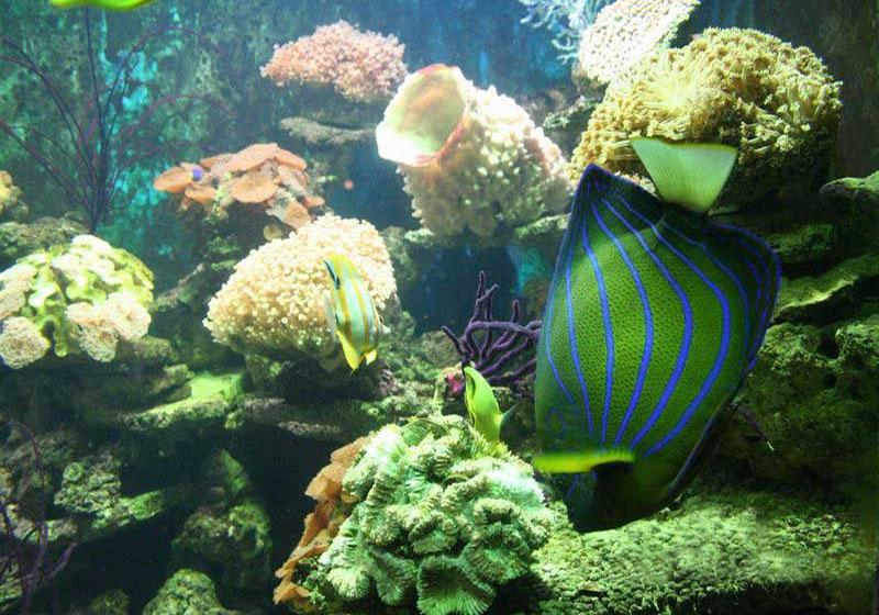 Aquatic Products Museum of Beihai is in China's Guangxi Zhuang Autonomous Region