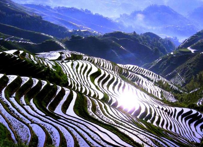 Dragon Rice Terraces Longshen Dragon s Backbone Longji 