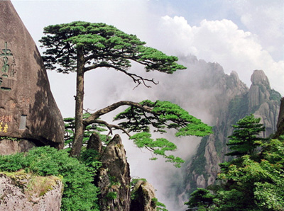 10 China Ancient City and Natural Scenery with Xi'an, Beijing, Huangshan and Hangzhou, Easy Going Tours