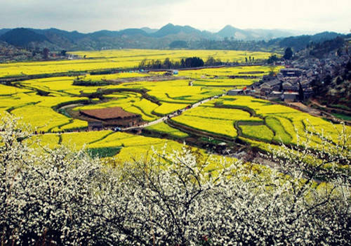 Changming
