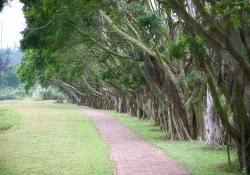 Beautiful environment of Zhanjiang Beautiful environment of Zhanjiang