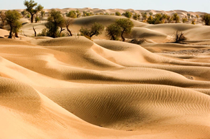 Taklamakan Desert in China Taklamakan Desert in China