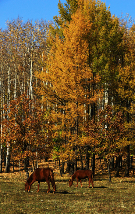 Greater Khingan Mountains Photo, Greater Khingan Mountains Photos
