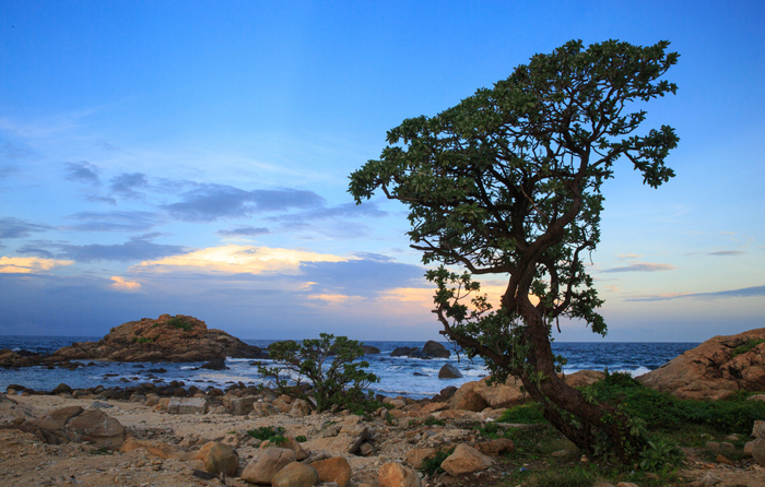 Wuzhizhou Island, Sanya Wuzhizhou Island Resort Center