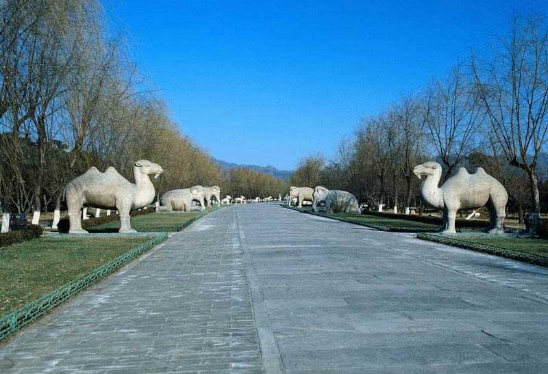 The Sacred Road