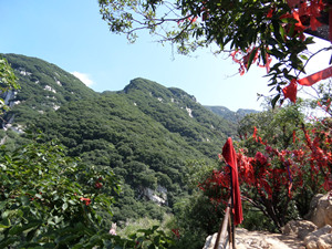 Mount. Song Mount. Song