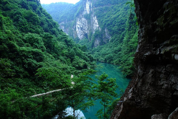Zhangjiajie Grand Canyon Zhangjiajie Grand Canyon