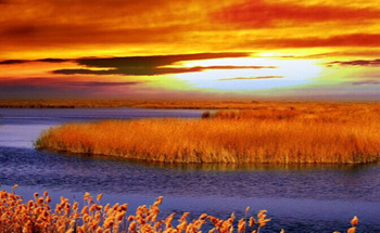 Zhangye Heihe Nationa Wetland Park