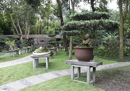Potted landscape garden of People's Park, Chengdu