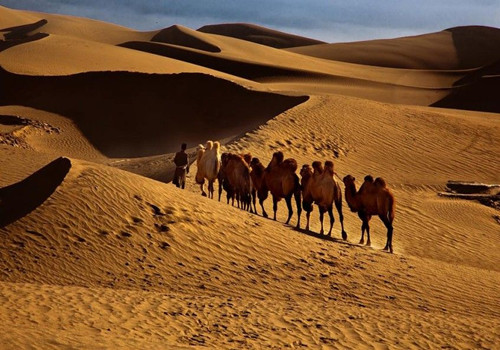 Taklamakan Desert, situated in the middle of Tarim Basin of Xinjiang Uygur Autonomous Region, is the largest desert around China, as well as the second largest desert and the largest shifting sand desert all over the world. 