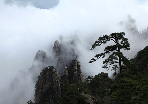 Dreamlike Yellow Mountain in Springtime, China Travel Blog, China Blog