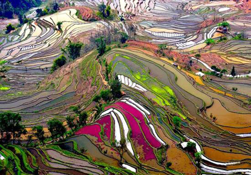 Yuanyang / Hani Terraced Fields (Yuanyang / Hani Titian) 
