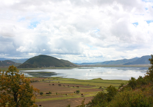 Napahai Lake,Shangri-la