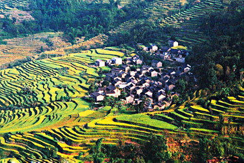 Yuanyang Terraced Fields