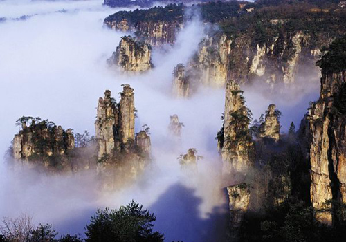 Zhangjiajie National Forest Park Zhangjiajie Zhangjiajie Attraction Zhangjiajie National Forest Park Zhangjiajie Zhangjiajie Attraction
