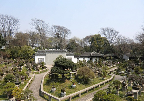 A garden for plenty of exquisite bonsais in Tiger Hill,Suzhou